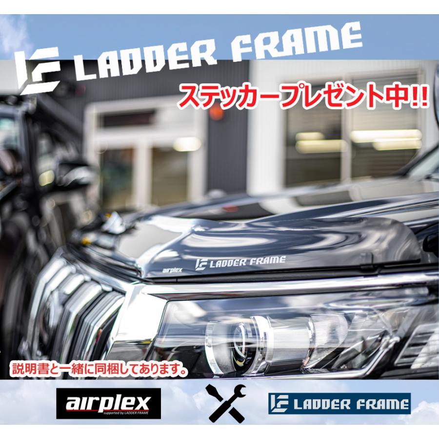 美品 手渡し限定　プラド 150後期 バグガード airplex