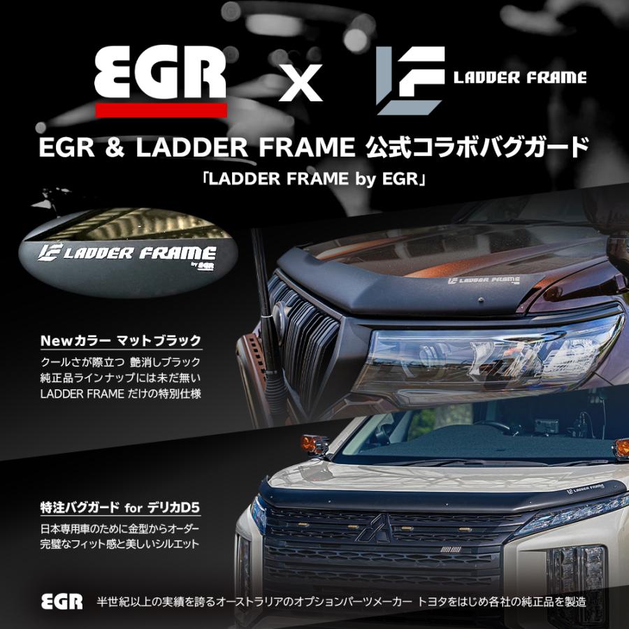 三菱（MITSUBISHI） 【みんカラ大賞受賞】デリカD5 後期 バグガード