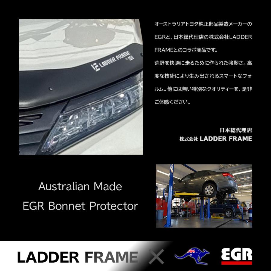 三菱（MITSUBISHI） 【みんカラ大賞受賞】デリカD5 後期 バグガード