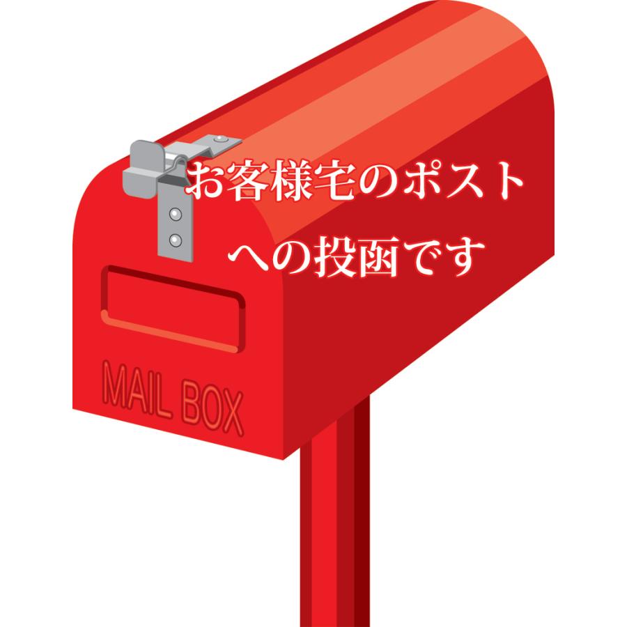 Daikingオリジナル岡安芳明ピック1.2mm×10枚セット |  | 03