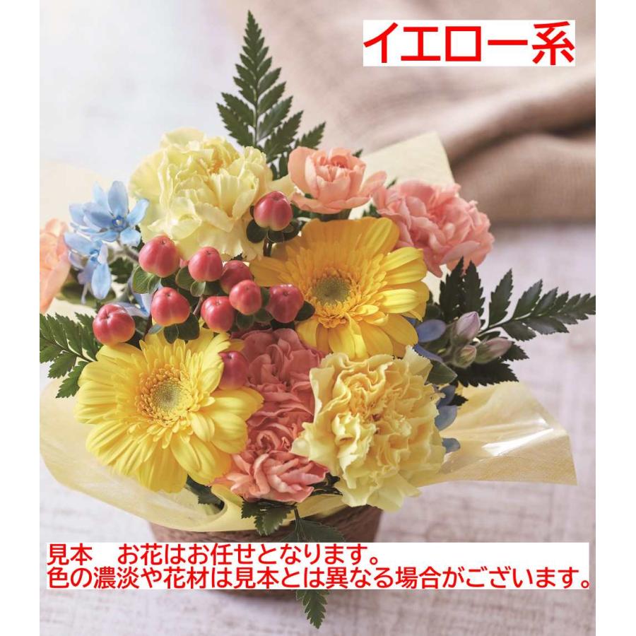 花 生花 クール便可 お任せ フラワーアレンジメント 2番 誕生日