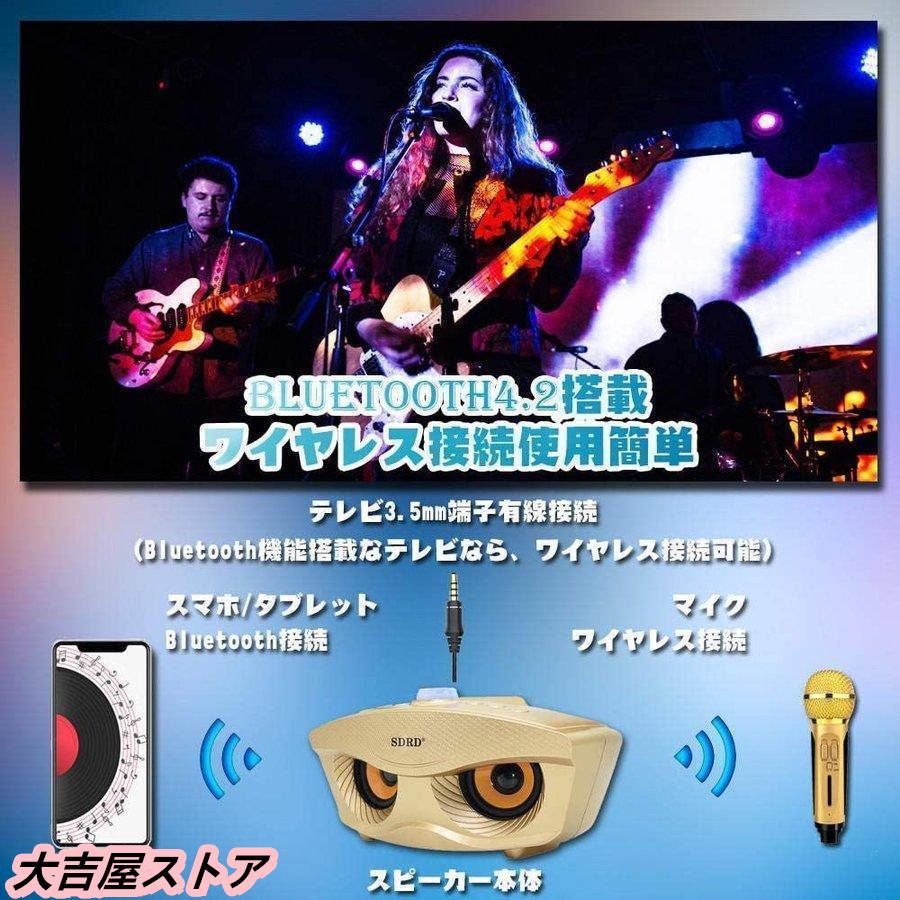 カラオケ マイク 2本 セット ワイヤレス Bluetooth スマホ セット 楽天市場】【MAX99%OFFクーポン】カラオケマイク 2本付き