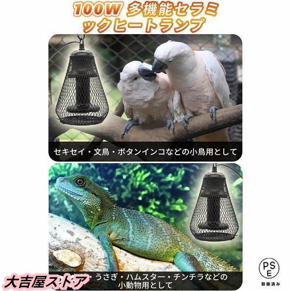 小鳥 ヒーター 暖房 爬虫類 保温球 保温電球カバー付 100W鳥 小鳥 ヒーター 暖房 爬虫類 保温球 保温電球カバー付 100W鳥