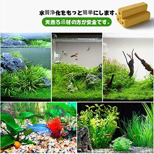 25 Off フィルター ポンプ ろ材 Zhhml ろ過材 水槽用ろ過材 観賞魚 ろ材水槽 水族館 小型 多孔質 水質改善 硝化細菌培養 効率的 淡水 海水生物 Www Threeriversofs Com