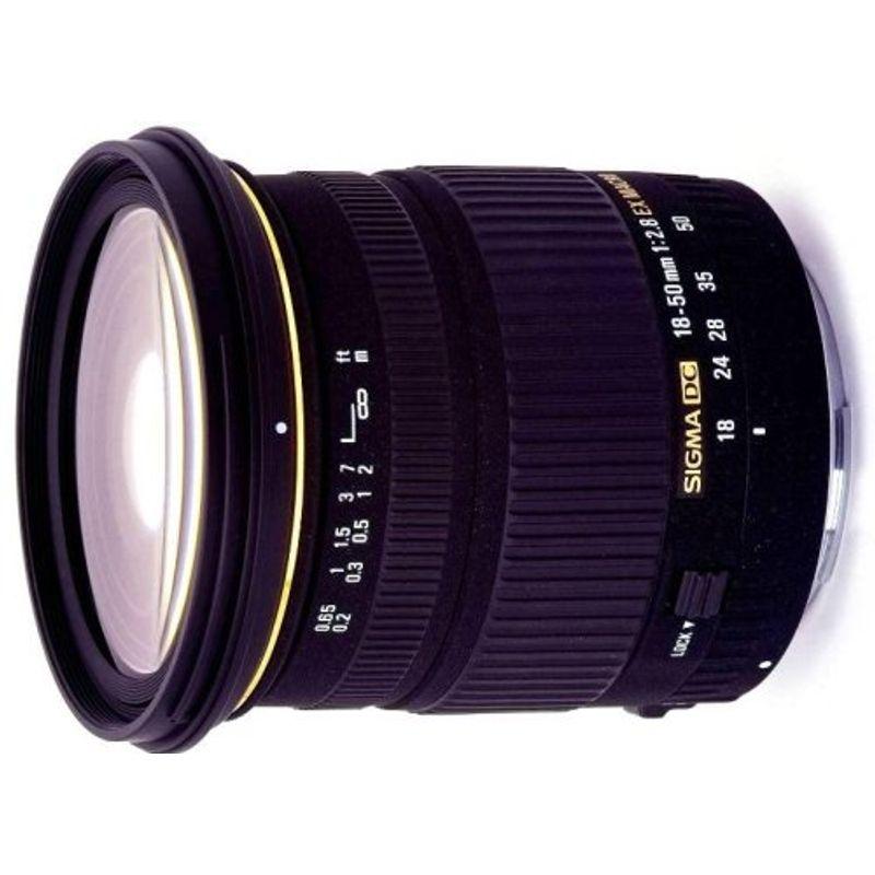 シグマ 18-50mm F2.8 EX DC MACRO HSM ニコン用 : 20210725053644 