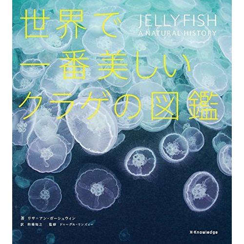世界で一番美しいクラゲの図鑑 生物学その他 Ezs Sidecar Com