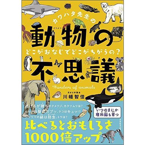 カワハタ先生の動物の不思議 どこがおなじでどこがちがうの 花まる学習会の本 リユースショップダイコク屋ヤフー店 通販 Yahoo ショッピング