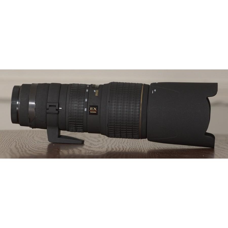 銘玉 ニコン用 SIGMA 100-300mm F4 APO EX IF HSM 【公式通販】