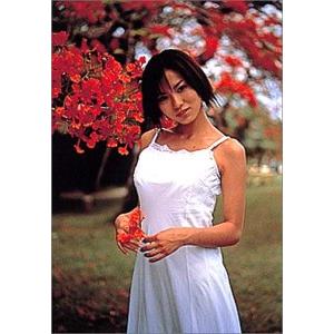 THE COMPLETE 市川由衣 DVD