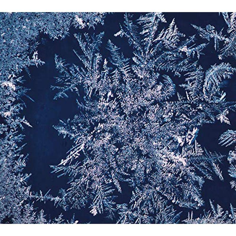 Tha Blue Herb その他 Www Mantraman Com Mx