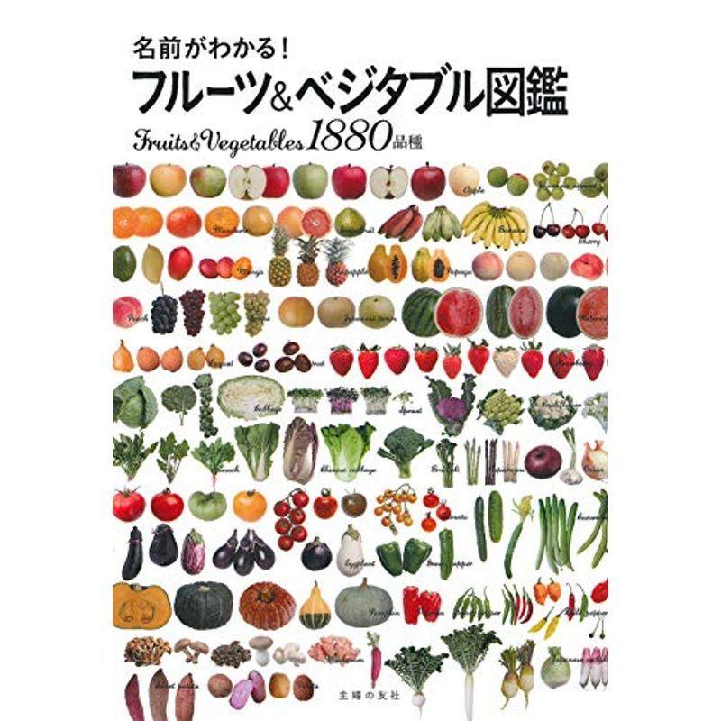 保障できる 名前がわかる フルーツ ベジタブル図鑑 人気ブランド Turningheadskennel Com