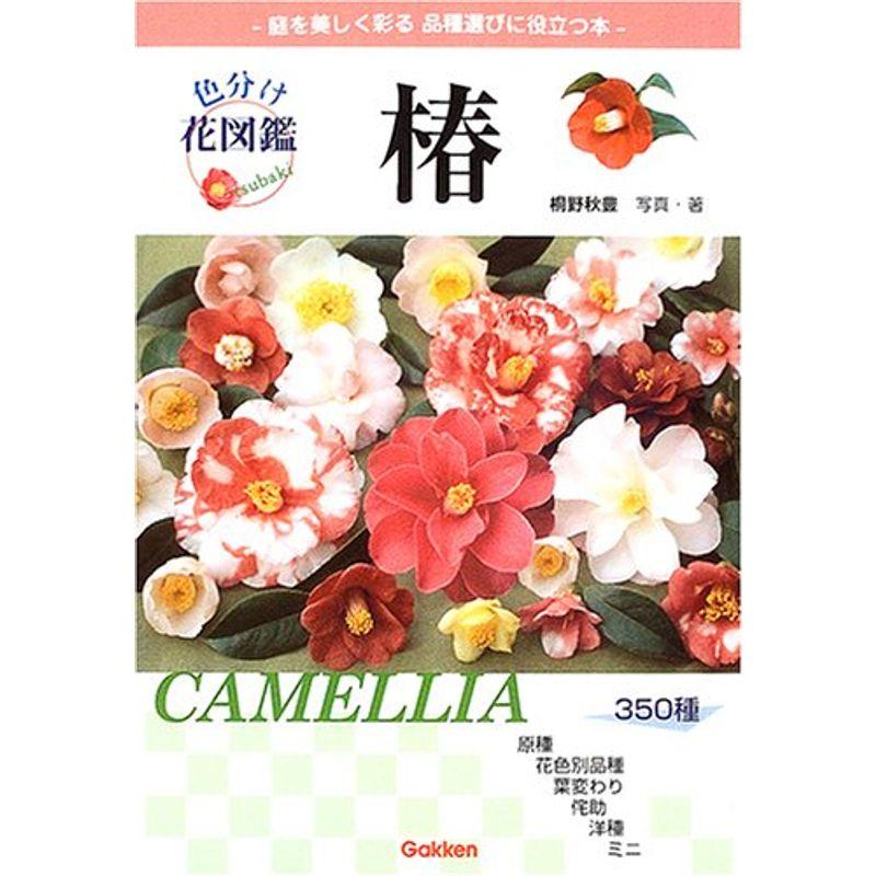 大流行中 色分け花図鑑 椿 最安値挑戦 Turningheadskennel Com