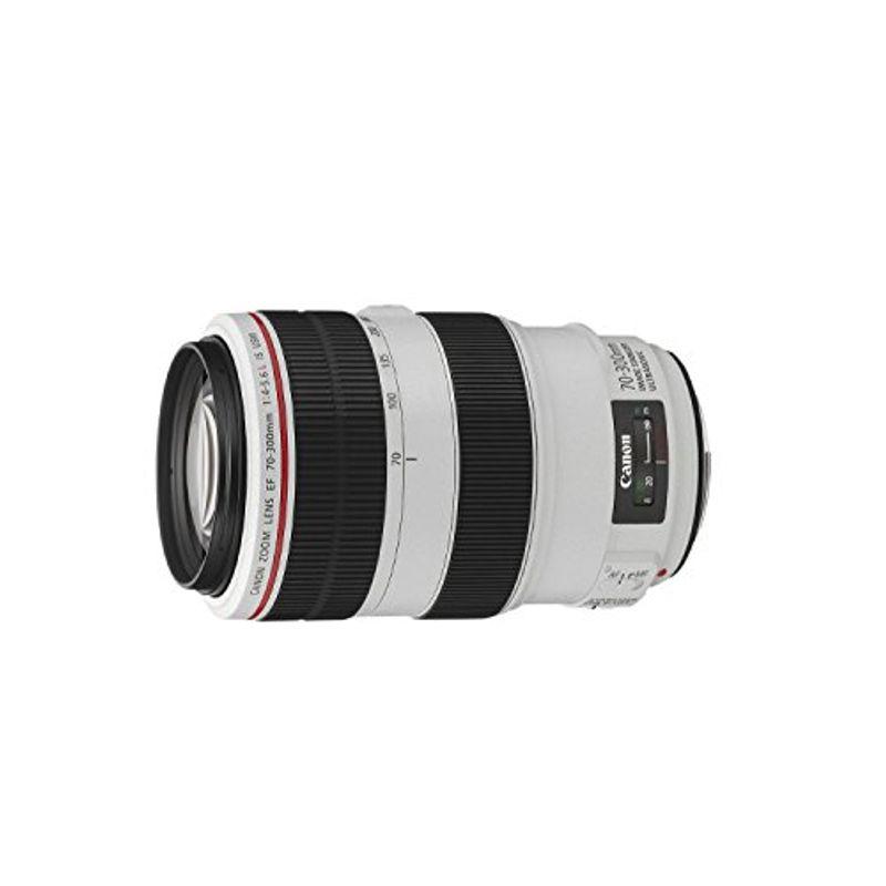 Canon 望遠ズームレンズ EF70-300mm F4-5.6L IS USM フルサイズ対応  