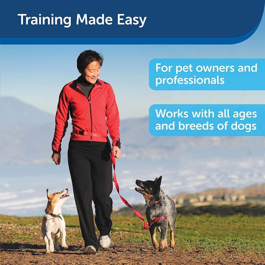 正規品 Treat & Train Remote Reward Dog Trainer 【Y7562536419】(26537円)