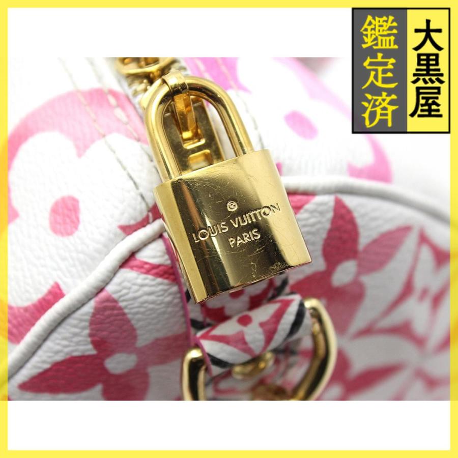 LOUIS VUITTON（ルイ・ヴィトン） 2wayバック バイザプール スピーディ