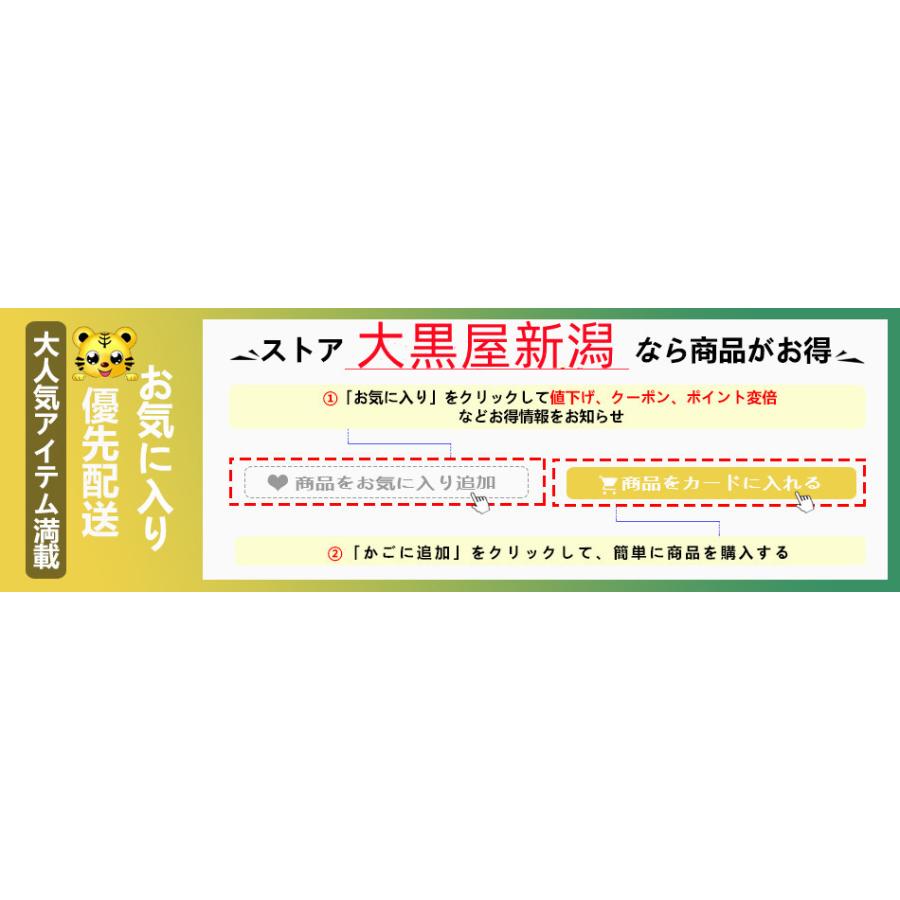 ハンディマッジャー小型 電動マッジ器 ワイヤレスリモコン 防水 静音 USB充電式 プレゼント かわいい 遠隔 リモコン 遠距離 彼女 プレゼント 2024｜daikokuyaniigata｜11