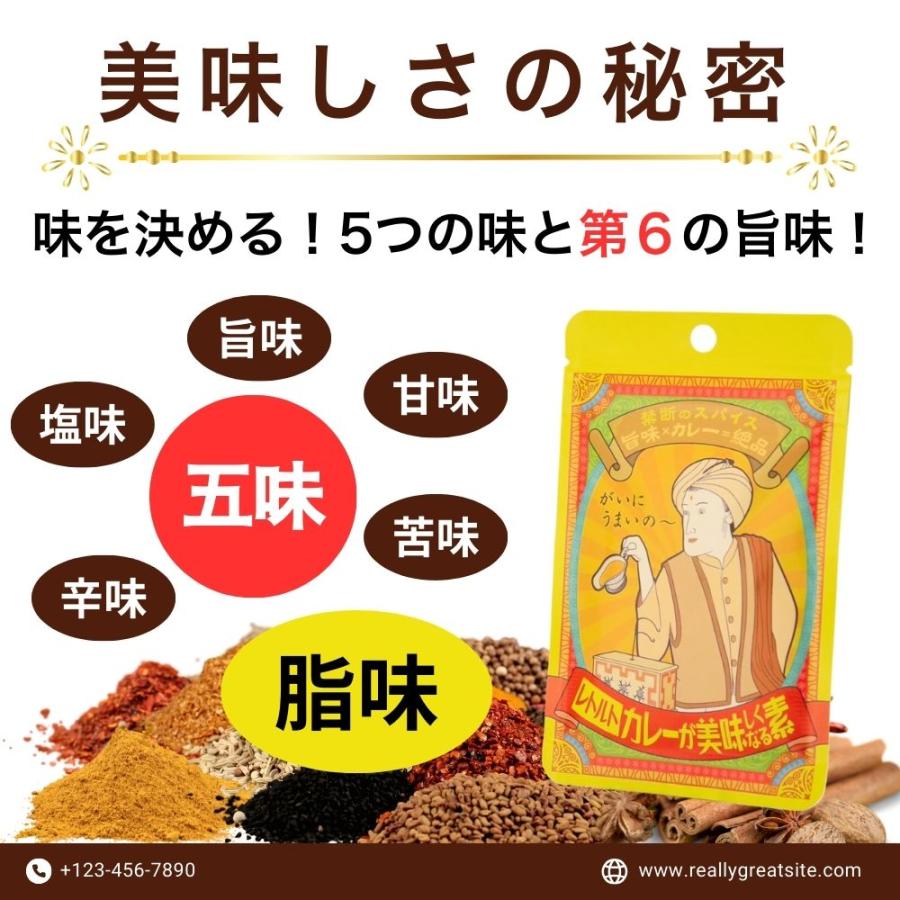 自然風土 お試し 1000円 ポッキリ スパイス 塩 業務用 人気 やみつき 