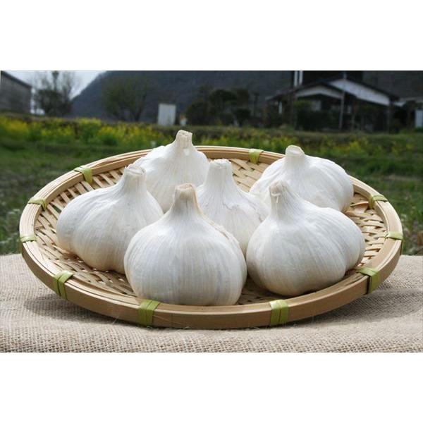 クリームチーズ 黒にんにく フルーツ 黒にんにくクリームチーズ スプレッド 香川県産 無添加 北海道産 ギフト 贈り物 美味しい 人気 食品 食材 瓶入り | 自然風土 | 05