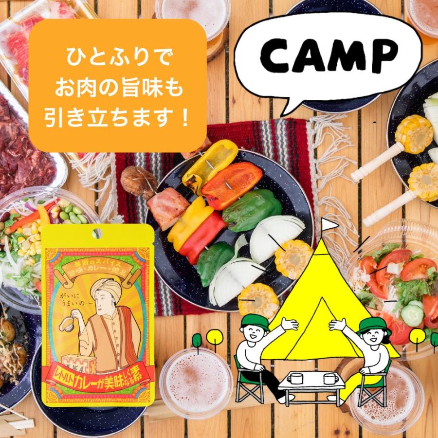 1000円ポッキリ スパイス 塩 人気 やみつき レトルトカレーが美味しく 