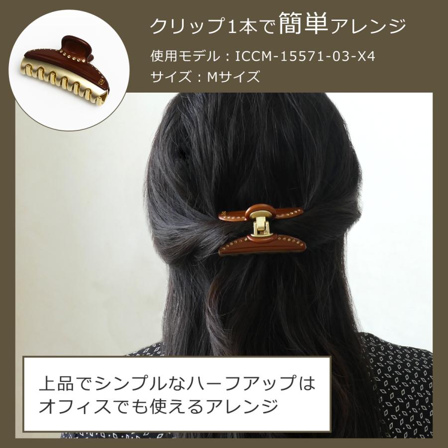 ALEXANDRE DE PARIS アレクサンドルドゥパリ クリップ (L)(大 ALEXANDRE DE PARIS アレクサンドルドゥパリ クリップ (L)(大