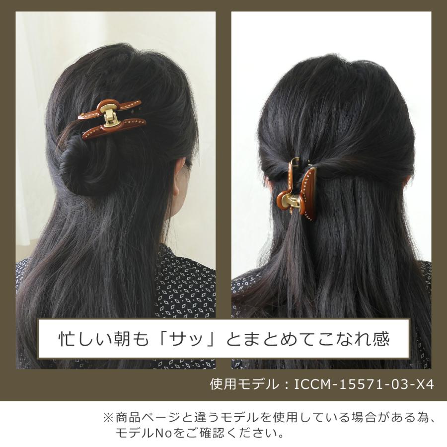 アレクサンドル ドゥ パリ クリップ (L)オニキス ACCL-7706-O 