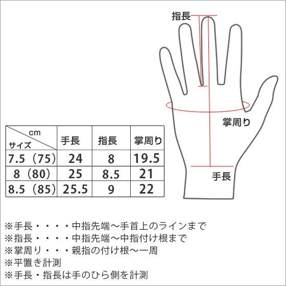 DENTS（デンツ） 【並行輸入品】DENTS メンズ レザー グローブ 5-9001