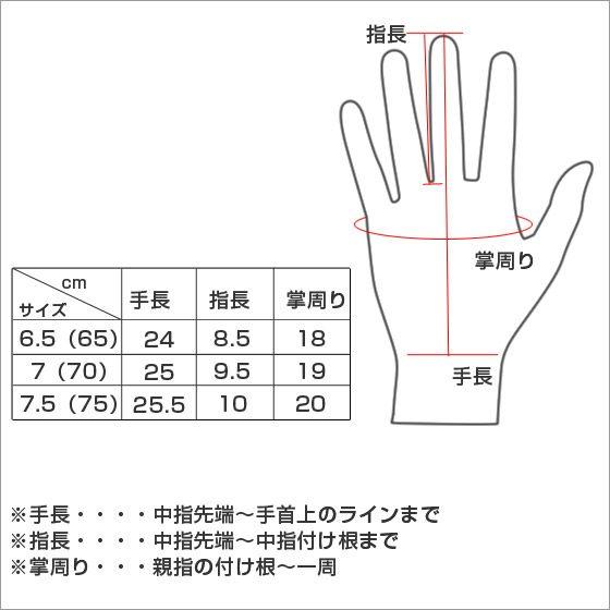 DENTS（デンツ） 【並行輸入品】デンツ レディース レザーグローブ