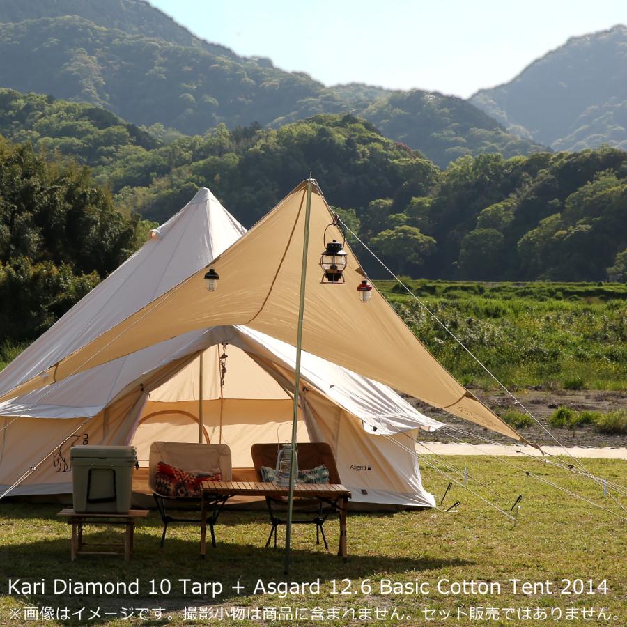 お礼や感謝伝えるプチギフト ノルディスク タープ カーリー