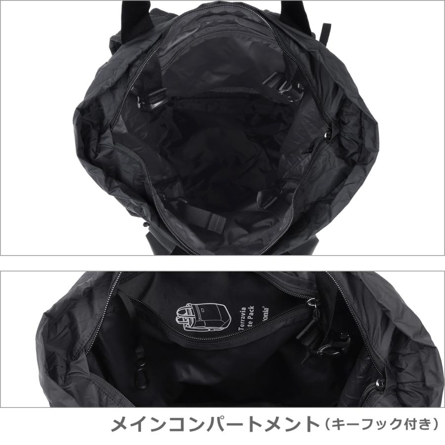 【並行輸入品】パタゴニア リュック patagonia テラヴィア トート パック 48814 Terravia Tote Pack 爆買の画像