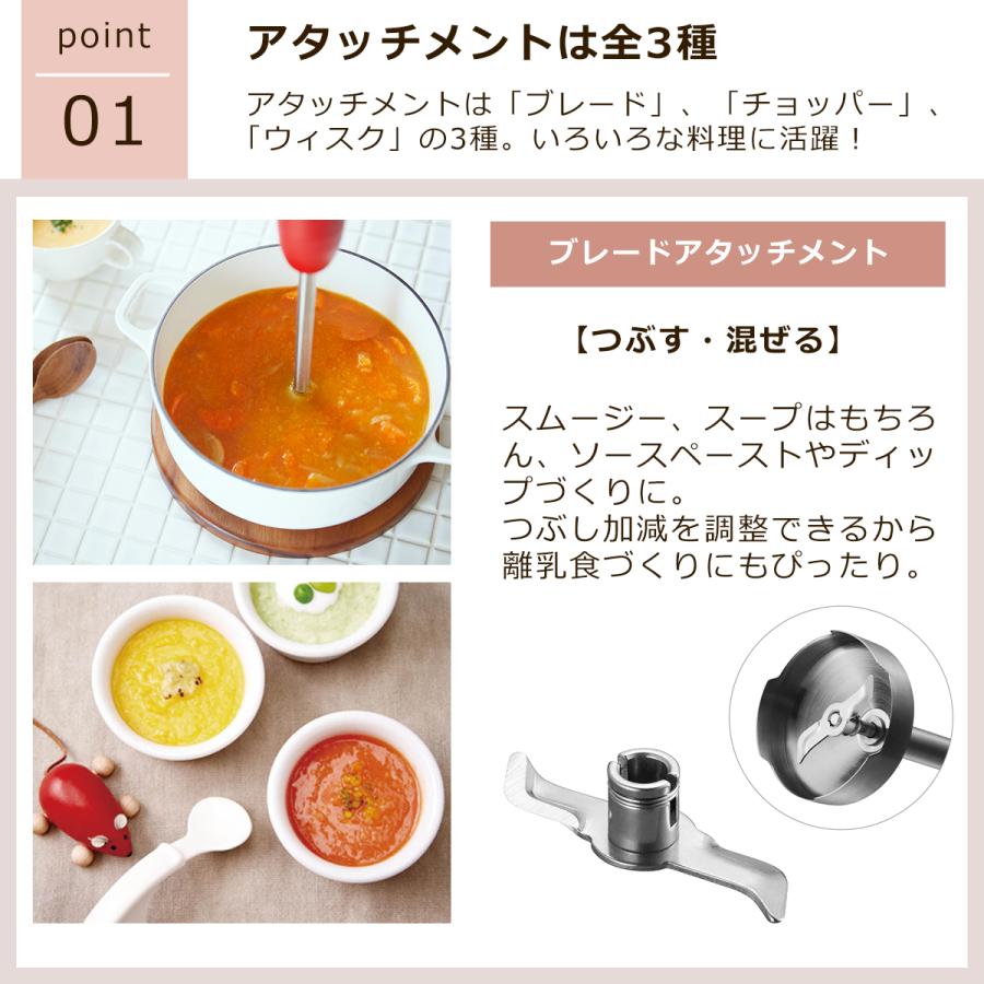 ビタントニオ（Vitantonio） ハンドブレンダー 8段階調整 離乳食 介護
