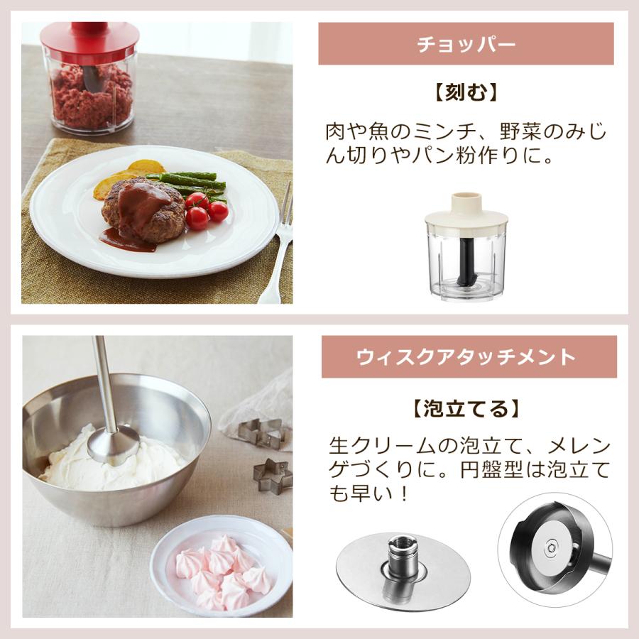 ビタントニオ（Vitantonio） ハンドブレンダー 8段階調整 離乳食 介護