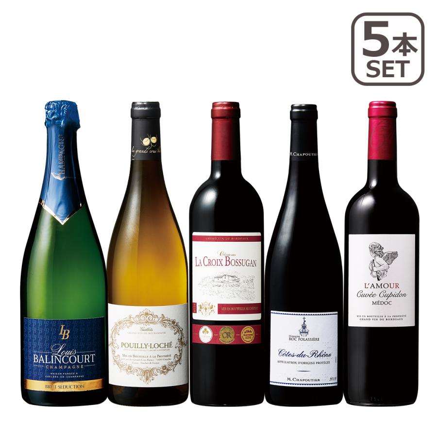 プルミエ クリュ シャンパン プイィ ロシェ入り フランス赤白泡５本セット ワインセット 金賞 スパークリングワイン 赤ワイン 白ワイン 赤白泡 代引き人気