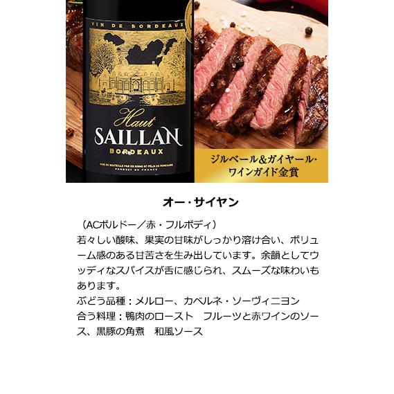 格上メドックボルドー含 AO格付..フルボディ金賞受賞など　赤 10本 ボルドーAO格付け フルボディ金賞受賞など 赤 10本 750ml