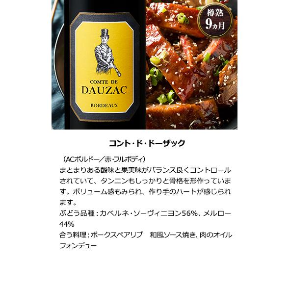 *格上メドックボルドー含 AO格付けなど　フルボディ金賞受賞など　赤　10本 格上メドック＆当たり年入り ボルドー 赤ワイン10本セット