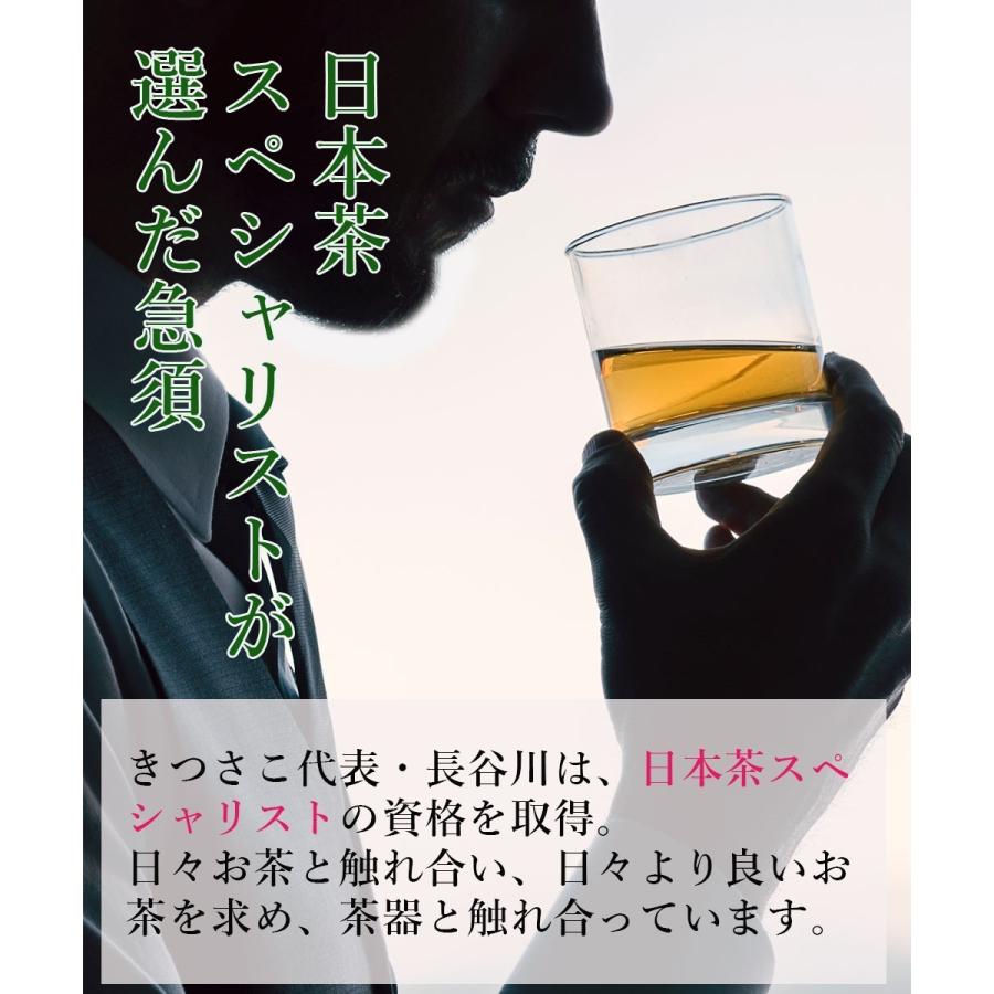 急須 常滑焼 朱泥 洗いやすい 雫急須 かご網 ステンレス 茶こし 300ml 日本製 きつさこ 焼き物｜daily-central｜09