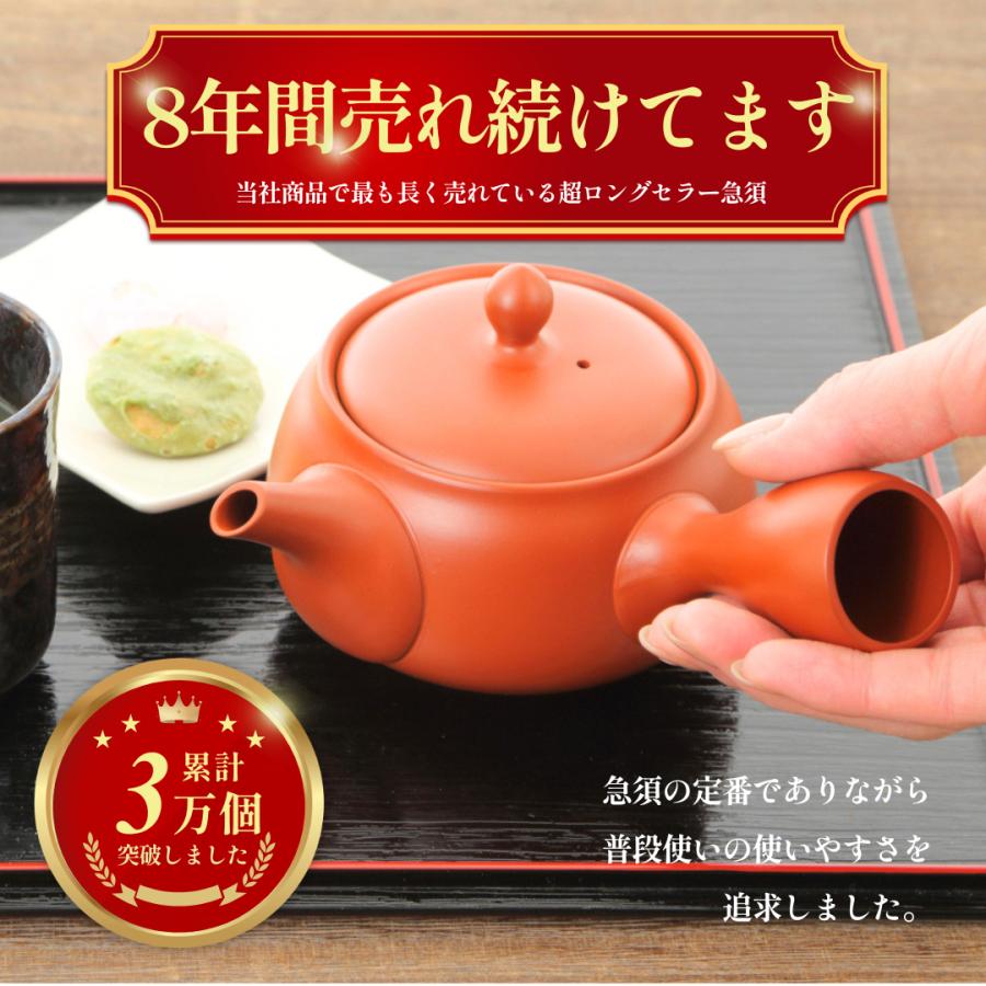 急須 常滑焼 朱泥 洗いやすい 雫急須 かご網 ステンレス 茶こし 300ml