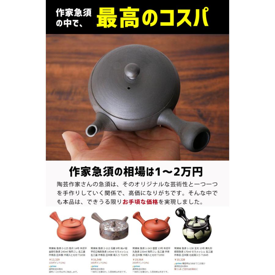 陶芸作家さんの急須 澤田さんのモダン急須/常滑焼 陶製茶こし 170ml 黒