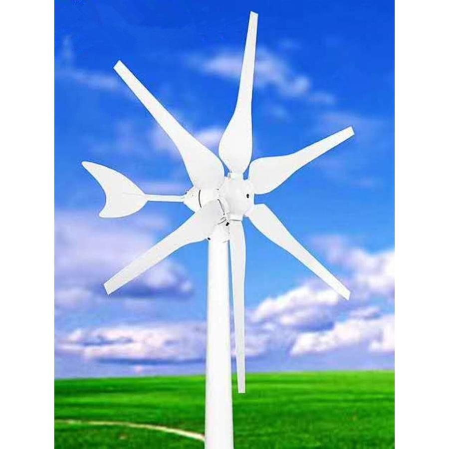 800W 6ブレードミニチュア風車 風力発電機家庭用 コントローラー内蔵 風力タービン 住宅用 家庭用 DC 12V  :mk9293:日用品ファクトリー - 通販 - Yahoo!ショッピング
