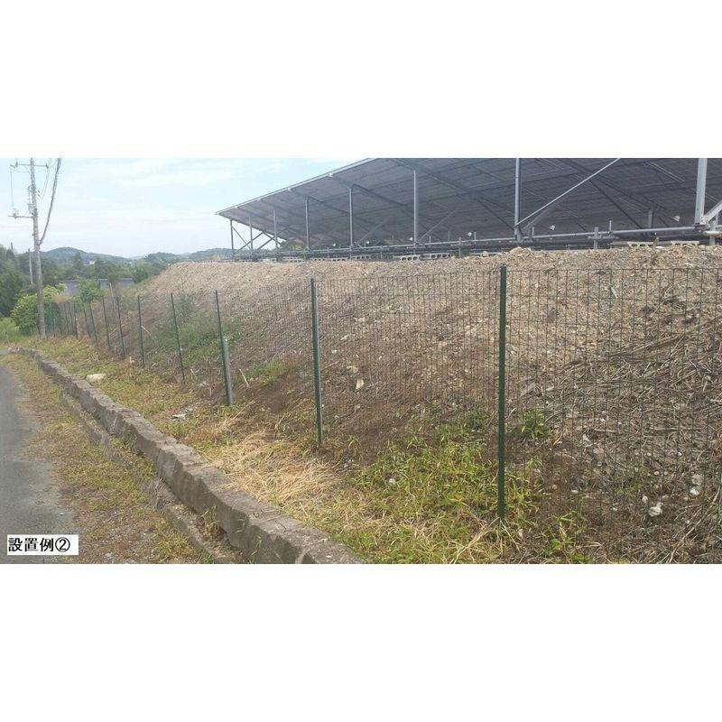 グリーン　アニマルフェンス　1.2×20m　フェンス(金網)と支柱11本のセット