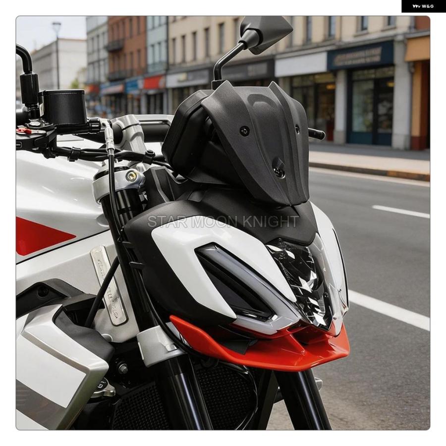 ブランド登録なし - 並行輸入品 自動二輪車 アプリリア TUONO 457 TUONO457 2025- TUONO 457 向こう正面小型 向こう正面玻璃 フェアリング