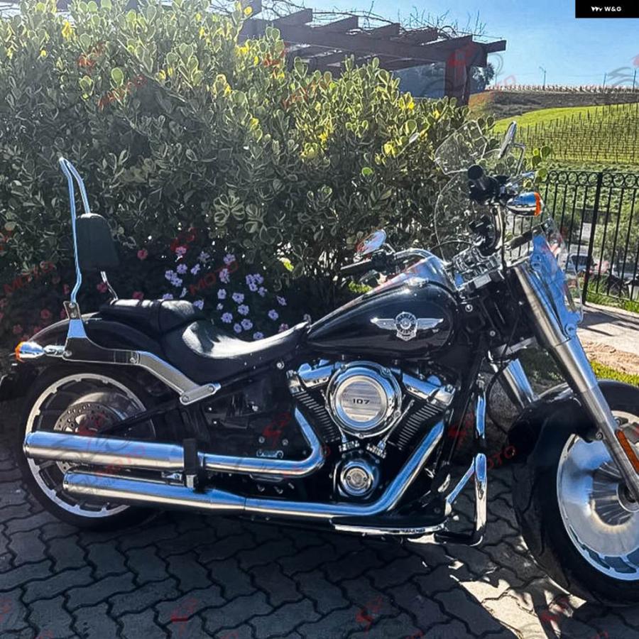 並行輸入品 バイク リアパッセンジャーバックレスト シーシーバー ハーレー ソフテイル FLDEFLHTFLSFXBBSTREETBOB_7