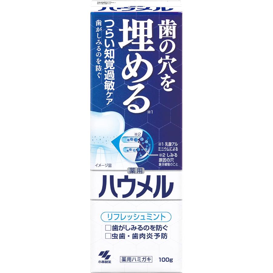ハウメル 知覚過敏ケア ペースト 薬用ハミガキ 100g 歯の穴を埋める 小林製薬 医薬部外品 1個（Yahoo!・デイリーユースストア）
