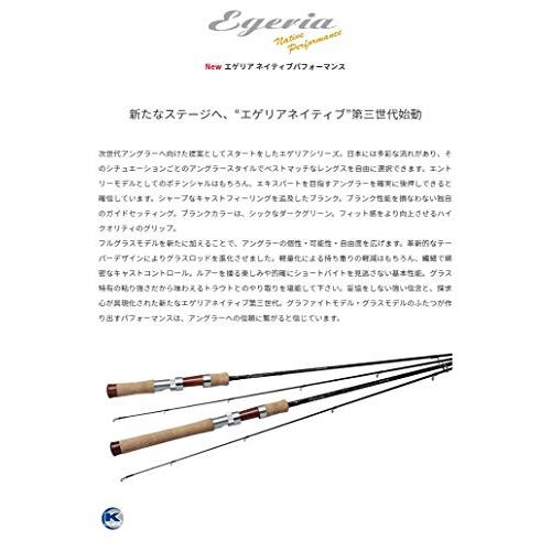 公式】パームス(Palms) エゲリアネイティブ パフォーマンス ETVS-54XUL