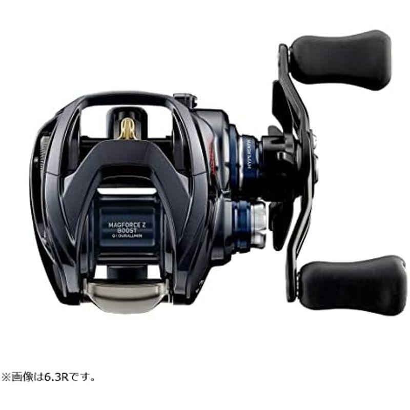 売れ筋オンライン ダイワ(DAIWA) ベイトキャスティングリール スティーズ A TW HLC 8.1L