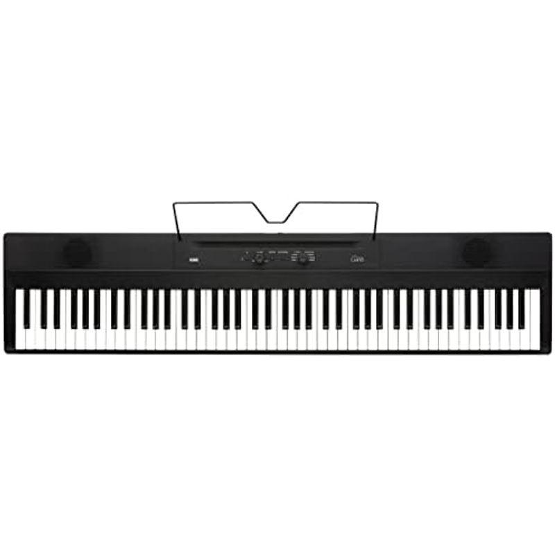 お見舞い KORG コルグ 電子ピアノ 88鍵盤 Liano L1SP 薄さ7ｃｍ 6kgの軽量ボディ 弾きやすいライトタッチ鍵盤 スタンドとペダルが