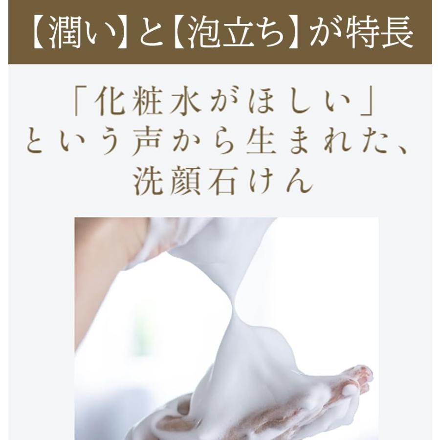 あきゅらいず きほんのセレクト 泡石 (小) 優すくらぶベーシック(小
