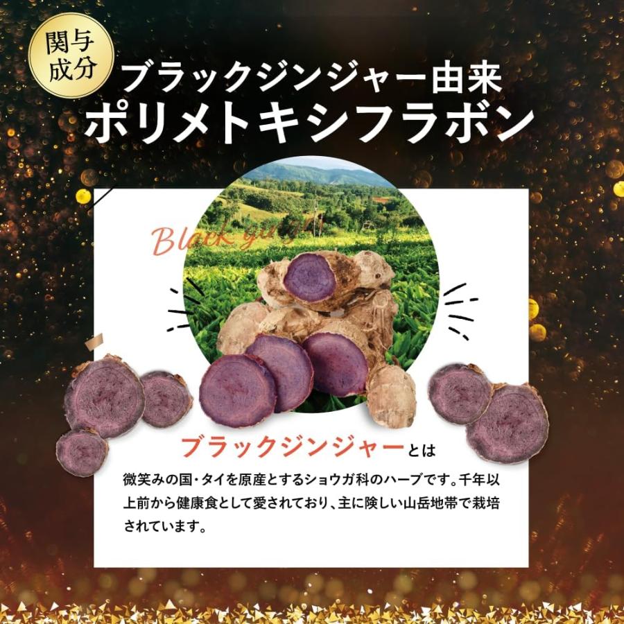 シボリスト sibolist 30粒 約30日分 脂肪 減らす ダイエット 体