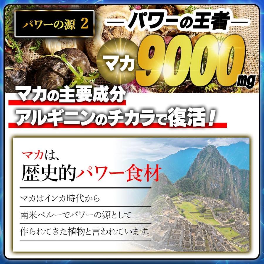 龍起丸 りゅうきがん 30包/30日分 マカ9000mg 100倍濃縮トン