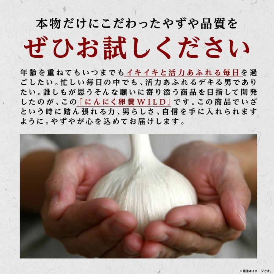 やずや にんにく卵黄WILD にんにく卵黄 サプリメント マカ 亜鉛