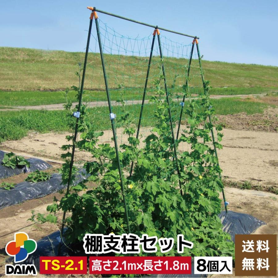 Daim 棚支柱セット Ts 2 1 8セット入 キュウリ ゴーヤ 合掌作り つる性植物 きゅうり棚 ネット 空中栽培 園芸 支柱 ジョイント 送料無料 C メーカー直販 Daim Yahoo 店 通販 Yahoo ショッピング
